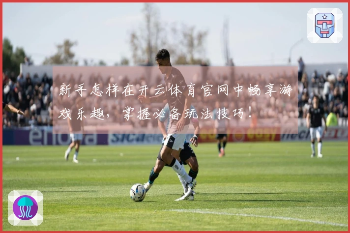 新手怎样在开云体育官网中畅享游戏乐趣，掌握必备玩法技巧！