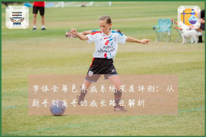 华体会角色养成系统深度评测：从新手到高手的成长路径解析