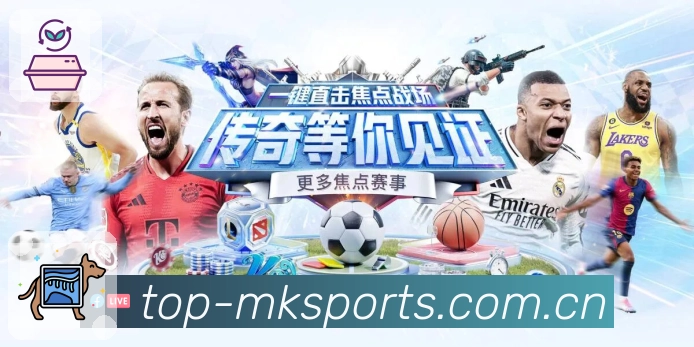 mk体育专业支持
